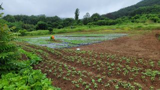 권리를위한투쟁님의 자유주제 · 자유게시판 작성글 사진