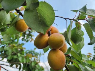 김육환님의 작성글 사진