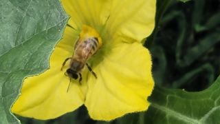 여우내 이순홍님의 자유주제 · 자유게시판 작성글 사진