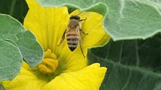 여우내 이순홍님의 자유주제 · 자유게시판 작성글 사진