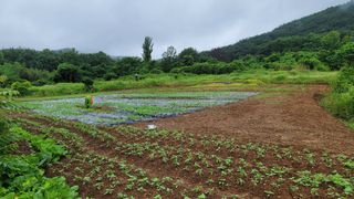 권리를위한투쟁님의 자유주제 · 자유게시판 작성글 사진