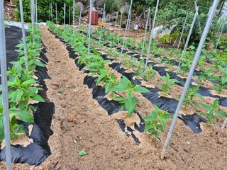 손동현님의 자유주제 · 자유게시판 작성글 사진