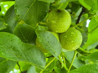 전홍열님의 자유주제 · 자유게시판 작성글 사진
