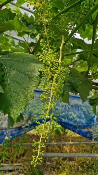 정석구님의 자유주제 · 자유게시판 작성글 사진