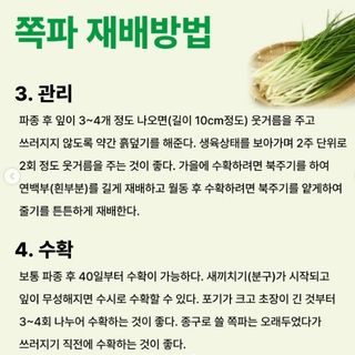 아시아종묘님의 자유주제 · 자유게시판 작성글 사진