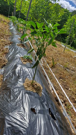 정석구님의 자유주제 · 자유게시판 작성글 사진