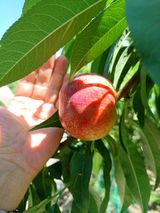 팜모닝 자유주제·자유게시판 게시글 이미지