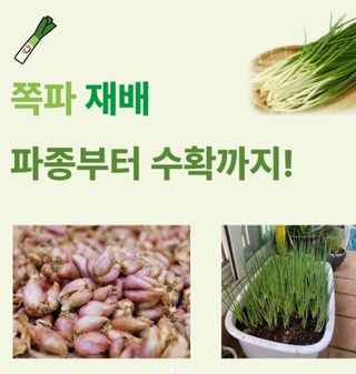 아시아종묘님의 자유주제 · 자유게시판 작성글 사진