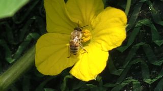여우내 이순홍님의 자유주제 · 자유게시판 작성글 사진