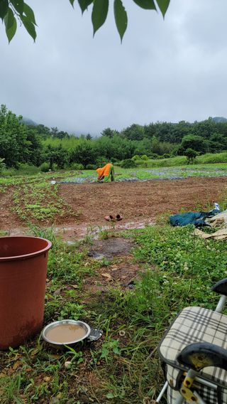 권리를위한투쟁님의 자유주제 · 자유게시판 작성글 사진