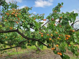 김육환님의 작성글 사진