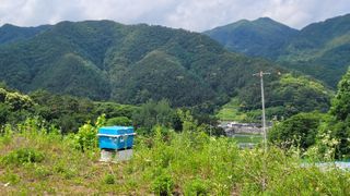 여우내 이순홍님의 자유주제 · 자유게시판 작성글 사진