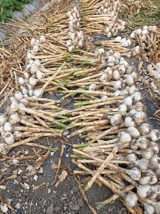 knlee님의 작성글 사진