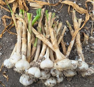 knlee님의 작성글 사진