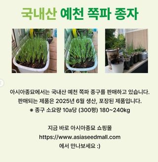 아시아종묘님의 자유주제 · 자유게시판 작성글 사진