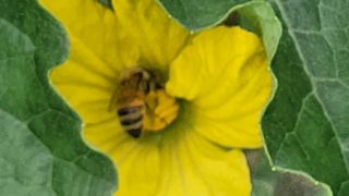 여우내 이순홍님의 자유주제 · 자유게시판 작성글 사진