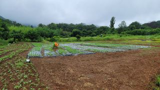 권리를위한투쟁님의 자유주제 · 자유게시판 작성글 사진