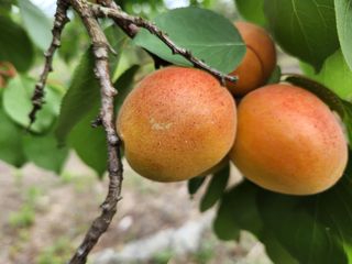 김육환님의 작성글 사진