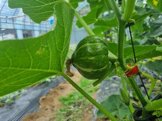 원인호님의 자유주제 · 자유게시판 작성글 사진