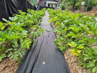 손동현님의 자유주제 · 자유게시판 작성글 사진