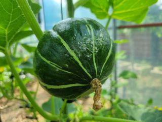 원인호님의 자유주제 · 자유게시판 작성글 사진