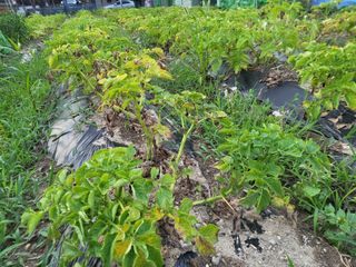 조상희님의 자유주제 · 자유게시판 작성글 사진