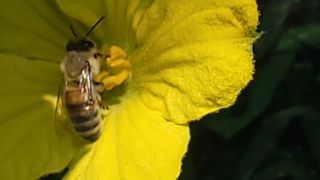 여우내 이순홍님의 자유주제 · 자유게시판 작성글 사진