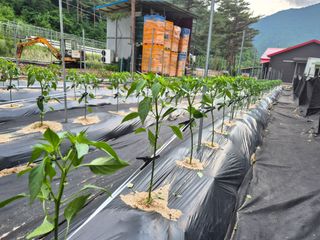 손동현님의 자유주제 · 자유게시판 작성글 사진