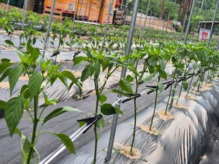 손동현님의 자유주제 · 자유게시판 작성글 사진