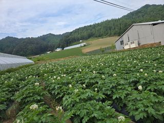 장관덕님의 자유주제 · 사진전 작성글 사진
