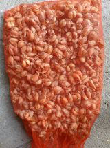 팜모닝 · 게시글 이미지