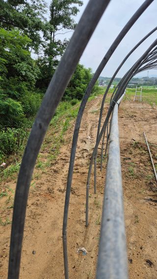 모산소나무님의 자유주제 · 자유게시판 작성글 사진