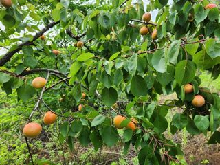 김육환님의 작성글 사진