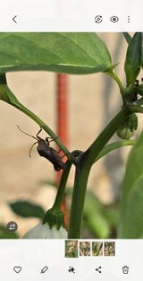 팜모닝 자유주제·자유게시판 게시글 이미지