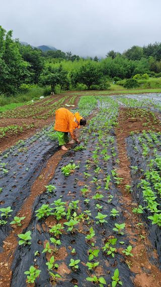 권리를위한투쟁님의 자유주제 · 자유게시판 작성글 사진