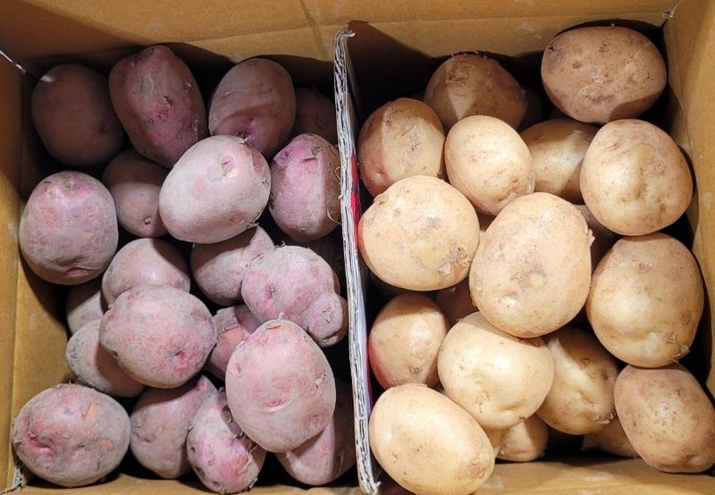 사랑꽃농장님의 장터 판매 상품 [ 햇 감자 혼합(홍감자+수미) 5kg] 첨부 사진