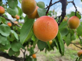 김육환님의 작성글 사진