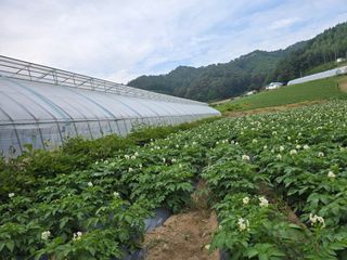 장관덕님의 자유주제 · 사진전 작성글 사진