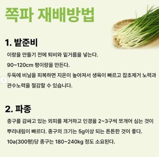 아시아종묘님의 자유주제 · 자유게시판 작성글 사진