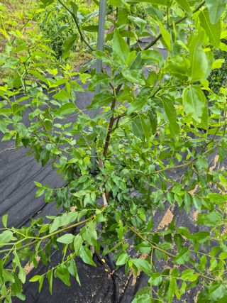 전홍열님의 자유주제 · 자유게시판 작성글 사진