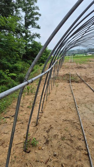 모산소나무님의 자유주제 · 건의해요 작성글 사진