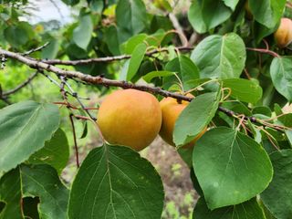 김육환님의 작성글 사진
