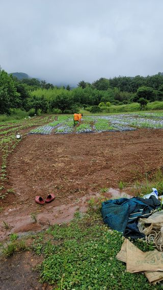 권리를위한투쟁님의 자유주제 · 자유게시판 작성글 사진
