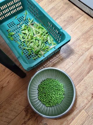 김윤철님의 자유주제 · 자유게시판 작성글 사진