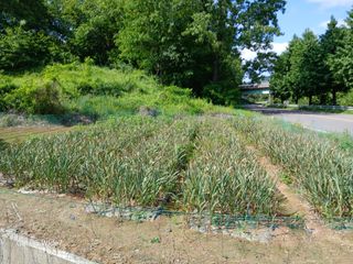 강재화님의 자유주제 · 자유게시판 작성글 사진