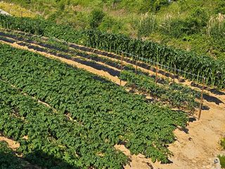 늘항상한결님의 자유주제 · 자유게시판 작성글 사진