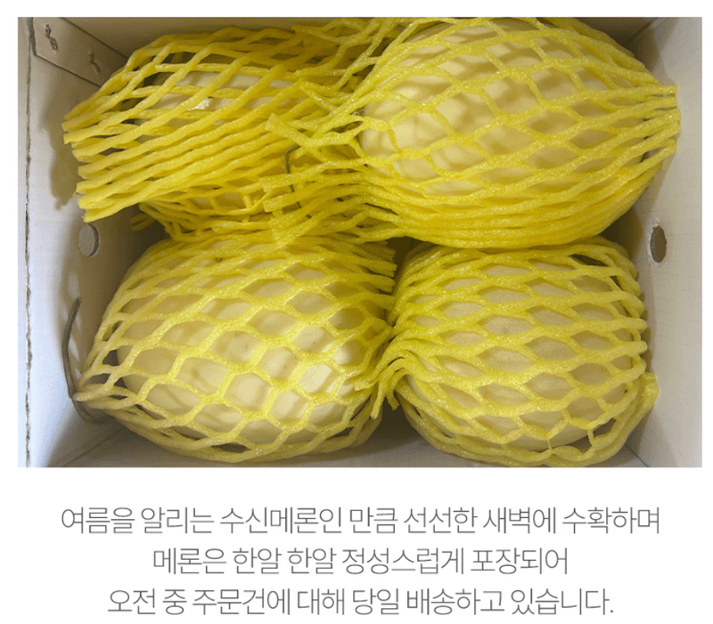 스피드번님의 장터 판매 상품 [수신메론] 첨부 사진