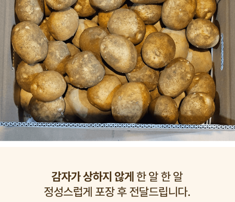 스피드번님의 장터 판매 상품 [햇감자] 첨부 사진