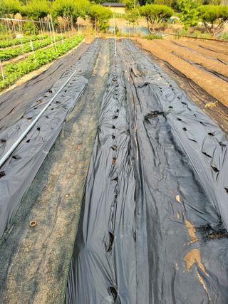 논산상월안정환님의 자유주제 · 자유게시판 작성글 사진