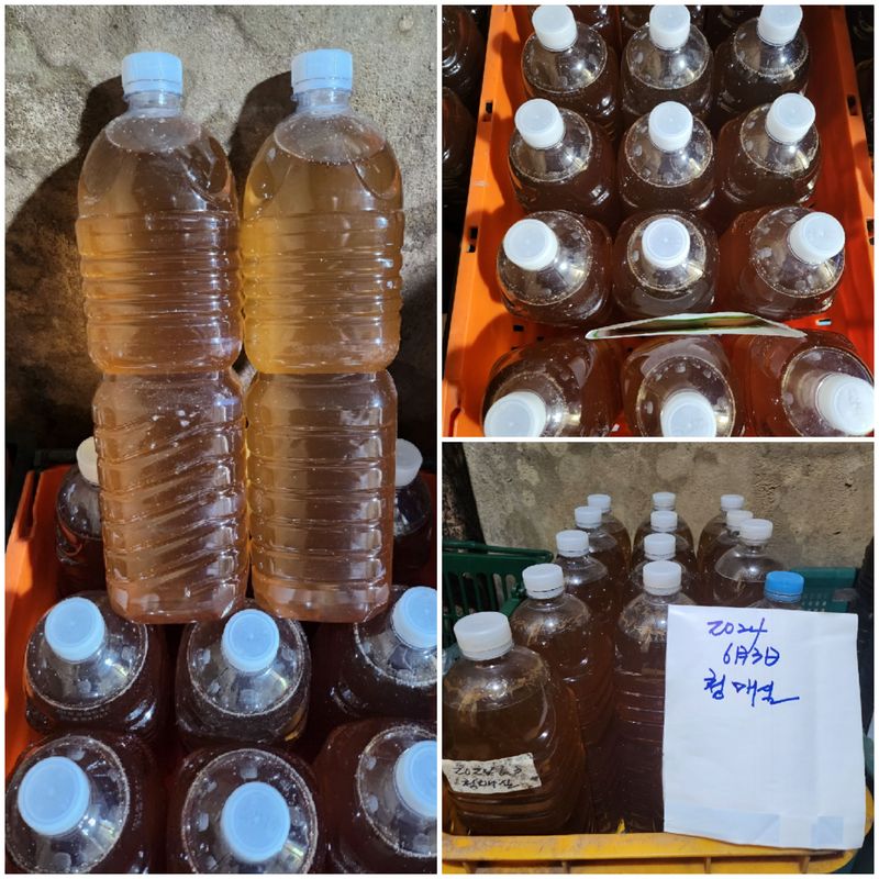 이슬농부농산님의 장터 판매 상품 [일선정품 친환경 토종 청매실(10kg)] 첨부 사진